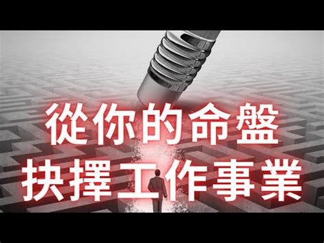 職業 算命|【八字看職業】八字揭開你的職業命運！